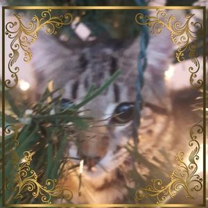 Meet your Posher, Joanne